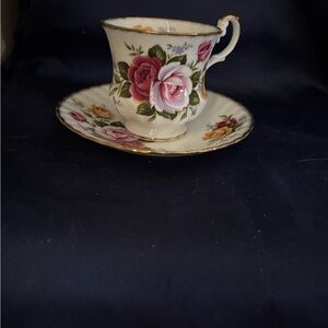 Vintage Queens Rosina bone china Teacup and Saucer